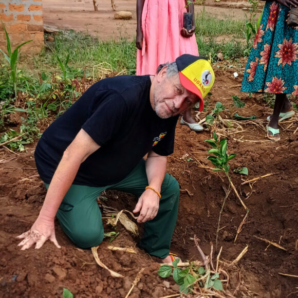 Planting work on site